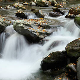 Mountain Stream in Autumn by Michael Collins