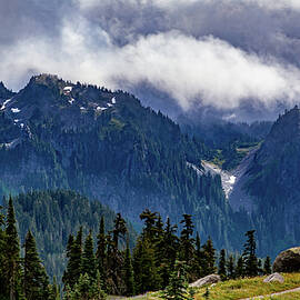 Mountain Trails Mt Rainier by Tommy Farnsworth