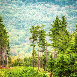 Mountainside by Jeff Sinon