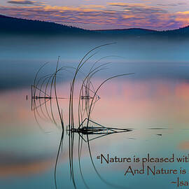 Mr. Newton's Wisdom by Mike Lee