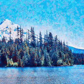 Mt. Hood, Lost Lake and Lichen texture by Bruce Block