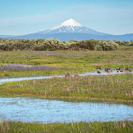 Mt McLoughlin from Lower Table Rock-2 by Diane Moller