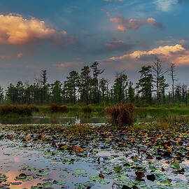 Mullica River Sunset - Pinelands by Louis Dallara
