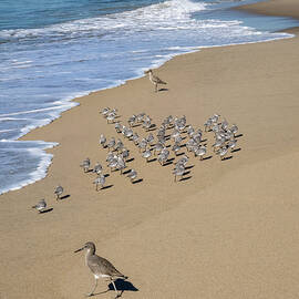 Mum, Auntie and the Kids  by Joe Schofield