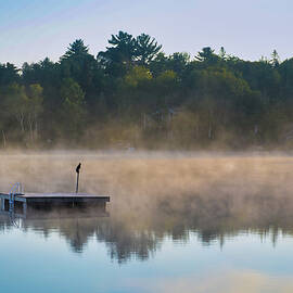Muskoka Foggy Sunrise by DEE POTTER