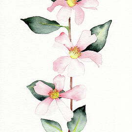 My Favorite by Catherine Bede