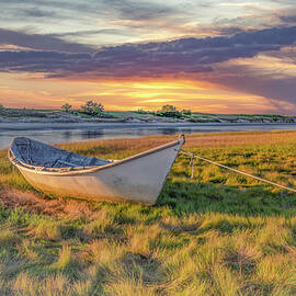 My Favorite Dory by Penny Polakoff