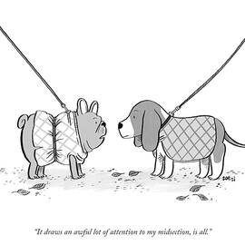 My Midsection by Zoe Si