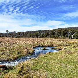 Naas Creek Valley, Namadgi National Park, Canberra, Australia 2 by Steven Ralser