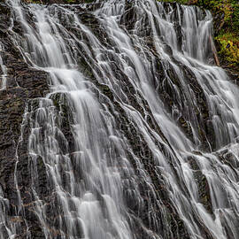 Narada Falls Mt Rainier Washington by Tommy Farnsworth