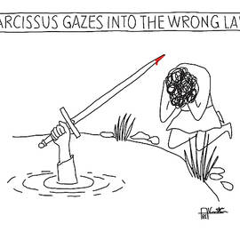 NARCISSUS GAZES INTO THE WRONG LAKE by Amanda Chung and Vincent Coca