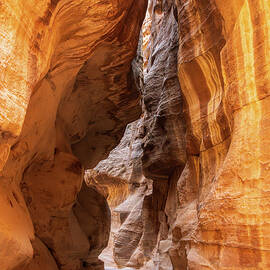 Narrow gorge of the Siq entering Petra by Steven Heap