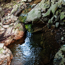 Natural Spring on the hillside by Flees Photos