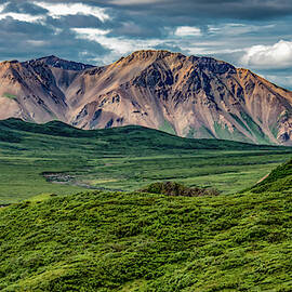 Naturally Denali by Marcy Wielfaert