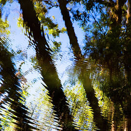 A RIPPLE IN TIME Nature Abstracted 56A  by Sally Fuller