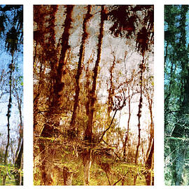 NATURE ABSTRACTED 98 J-M-N by Sally Fuller