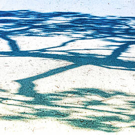 NATURE ABSTRACTION 52B by Sally Fuller