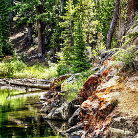 Natures Edge by Kelley King