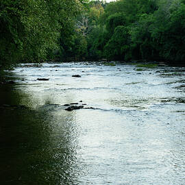 NC creek 02 by Flees Photos