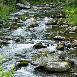 NC creek 21 by Flees Photos