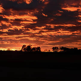 NC Firey sunset 001 by Flees Photos