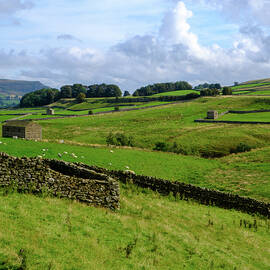near Bainbridge by Seeables Visual Arts