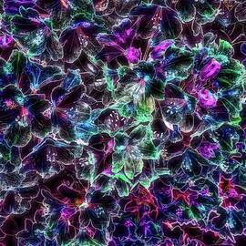Neon Floral Cascade by Bruce Block