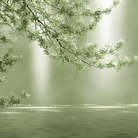 Nephrite by Moira Risen