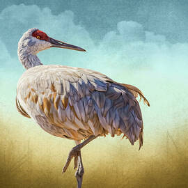 New Mexico Sandhill Crane by Rebecca Herranen