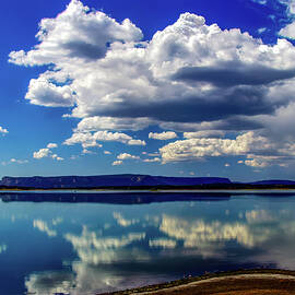 New Mexico by Tommy Farnsworth