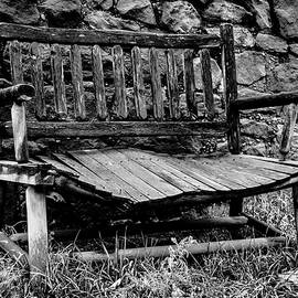 New Mexico Wavy Bench  by Jean Noren