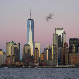 New York City Skyline with Seagull Evening by Mary Lee Dereske