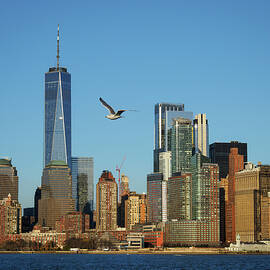 New York City Skyline with Seagull by Mary Lee Dereske