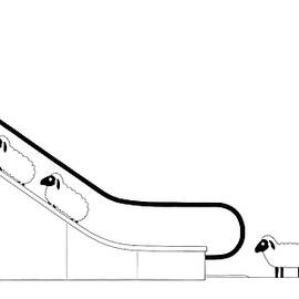 New Yorker February 13, 2023 by Seth Fleishman