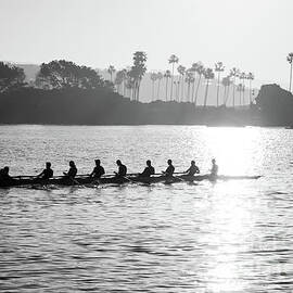 Newport Beach Rowing Crew Black and White Photo by Paul Velgos