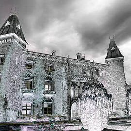 Newton house Dinefwr in Wales - a negative view by Bruce Block