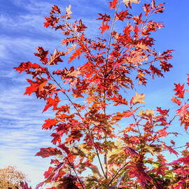 Nichols Creek Wildlife Area 10 by Dale Kauzlaric