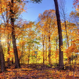 Nichols Creek Wildlife Area 14 by Dale Kauzlaric