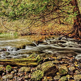 Nichols Creek Wildlife Area 41 by Dale Kauzlaric