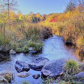 Nichols Creek Wildlife Area 6 by Dale Kauzlaric
