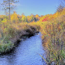Nichols Creek Wildlife Area 7 by Dale Kauzlaric
