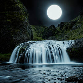 Night Falls by DEE POTTER