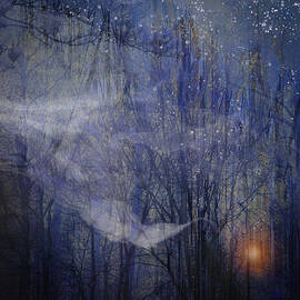 Night Song by Gina Harrison