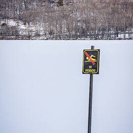 No Swimming by Dave King