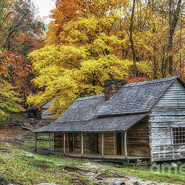 Noah Ogle House Yellow Leaves by Jimmy Pappas