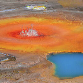 Norris Geyser Basin Bubbler Closeup - Yellowstone National Park, Wyoming by Abbie Warnock