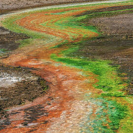 Norris Geyser Basin Colored Stream 2 - Yellowstone National Park, Wyoming by Abbie Matthews
