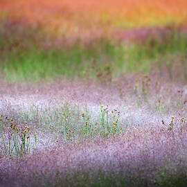 Norris Grasses by Ursula Abresch