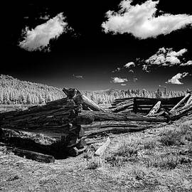 Northern California Fixer-Upper by Mike Lee