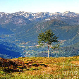 Norwegian Mountains by Olivier Le Queinec